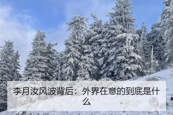 李月汝风波背后：外界在意的到底是什么